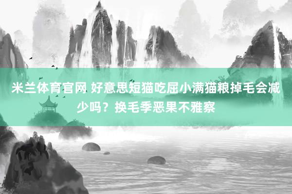 米兰体育官网 好意思短猫吃屈小满猫粮掉毛会减少吗？换毛季恶果不雅察