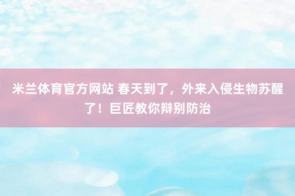 米兰体育官方网站 春天到了，外来入侵生物苏醒了！巨匠教你辩别防治