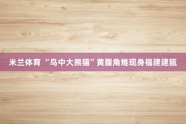 米兰体育 “鸟中大熊猫”黄腹角雉现身福建建瓯