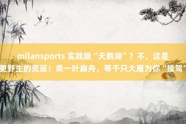 milansports 实践版“天鹅湖”？不，这是更野生的荒诞！乘一叶扁舟，等千只大雁为你“接驾”