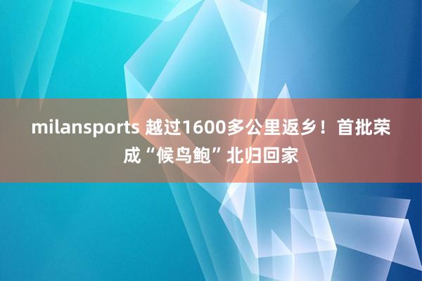 milansports 越过1600多公里返乡！首批荣成“候鸟鲍”北归回家