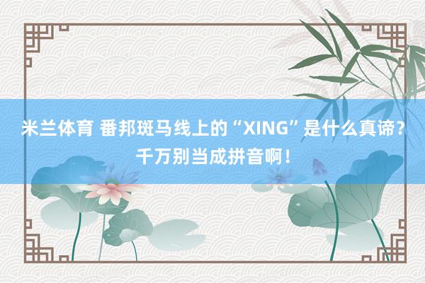 米兰体育 番邦斑马线上的“XING”是什么真谛？千万别当成拼音啊！