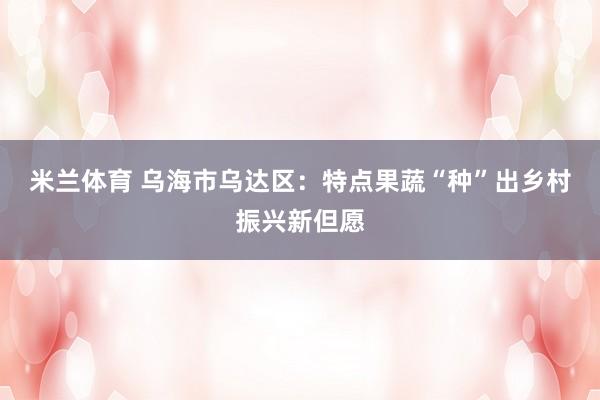 米兰体育 乌海市乌达区：特点果蔬“种”出乡村振兴新但愿