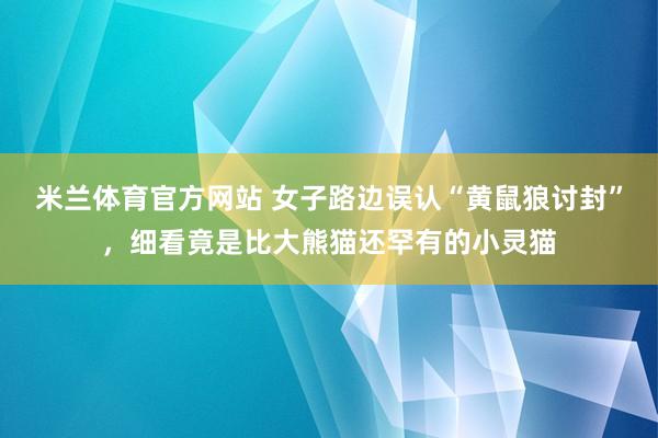 米兰体育官方网站 女子路边误认“黄鼠狼讨封”，细看竟是比大熊猫还罕有的小灵猫
