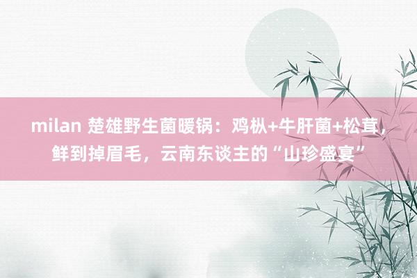 milan 楚雄野生菌暖锅：鸡枞+牛肝菌+松茸，鲜到掉眉毛，云南东谈主的“山珍盛宴”