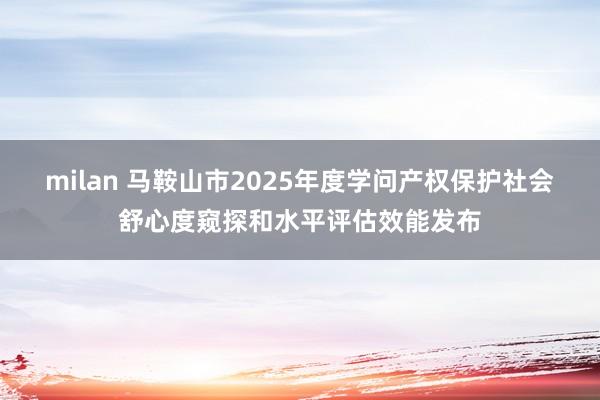 milan 马鞍山市2025年度学问产权保护社会舒心度窥探和水平评估效能发布