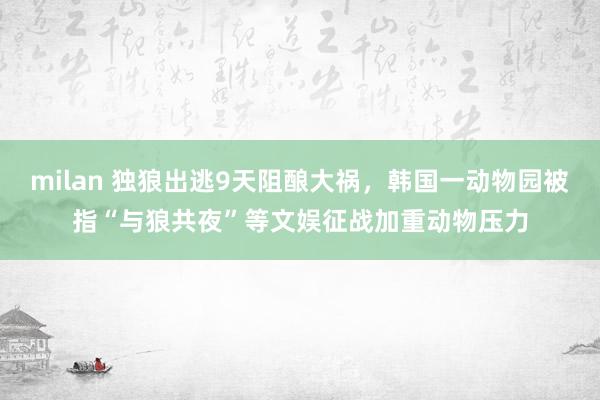 milan 独狼出逃9天阻酿大祸，韩国一动物园被指“与狼共夜”等文娱征战加重动物压力