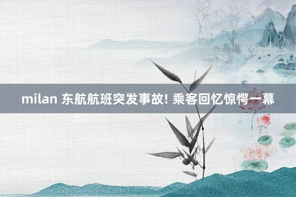 milan 东航航班突发事故! 乘客回忆惊愕一幕